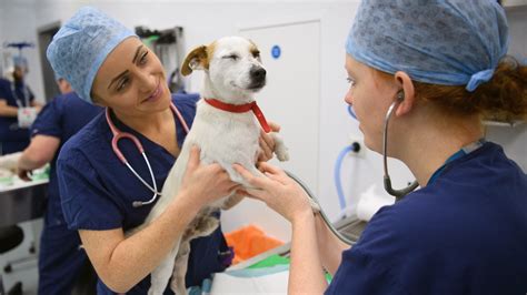Veterinary emergency - Hours. Mon-Sun: Open 24 Hours. VCA Animal Referral and Emergency Center of Arizona provides specialty veterinary care for your pets. VCA is where your pet's health is our top priority and excellent service is our goal.
